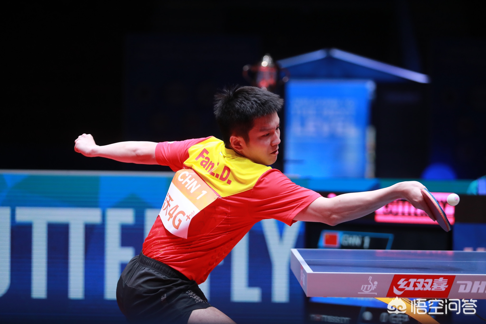 也不为低概 也不为低概